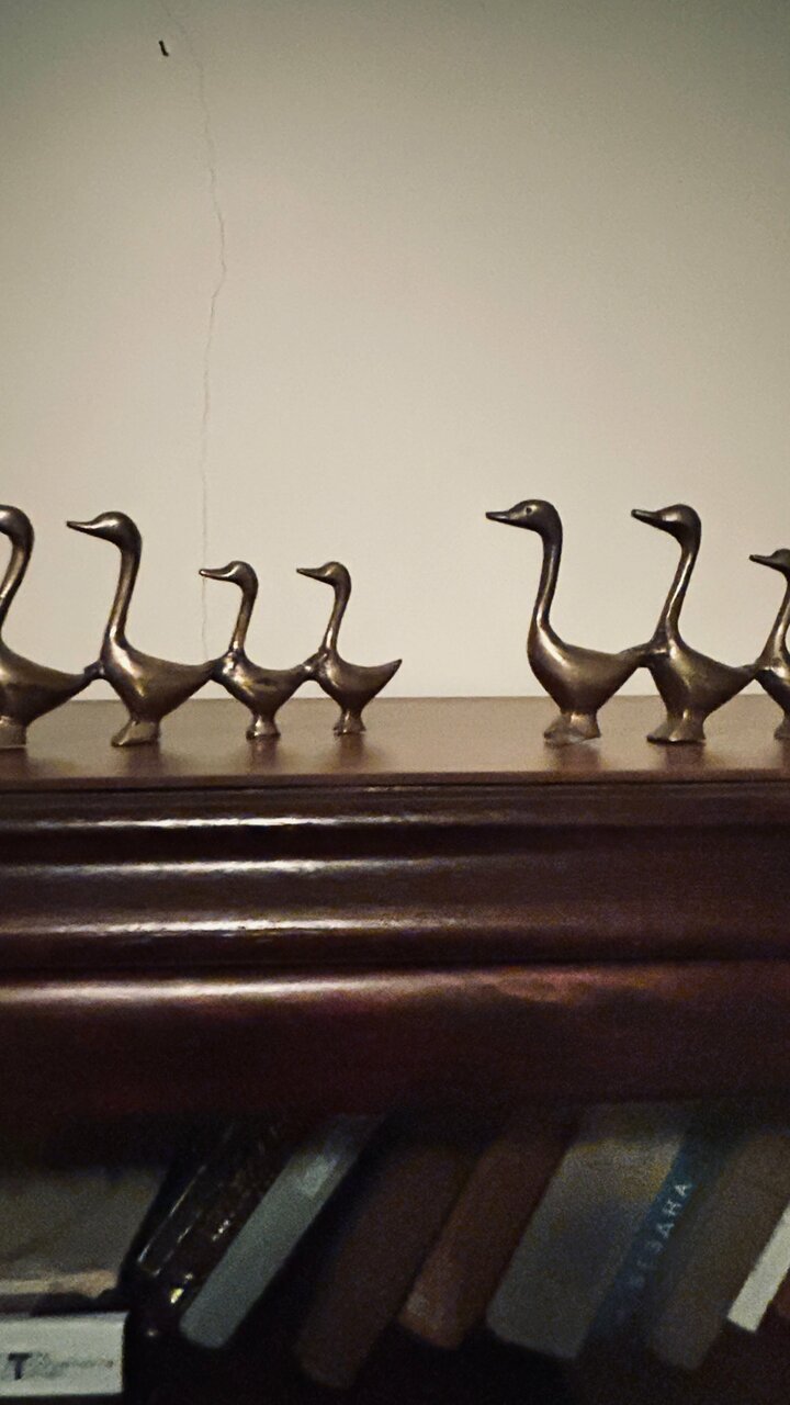 Гостиница На Каштановой Калининград-26