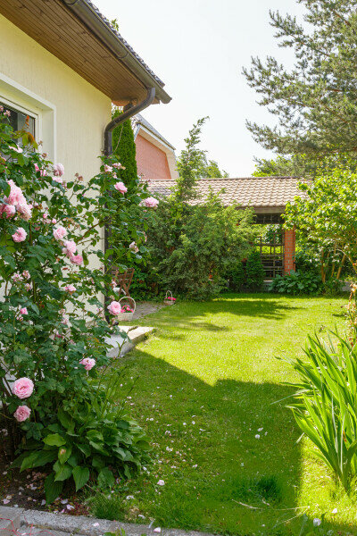 Гостиница На Каштановой Калининград