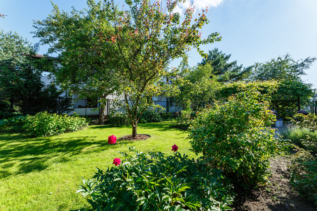 Гостиница На Каштановой Калининград