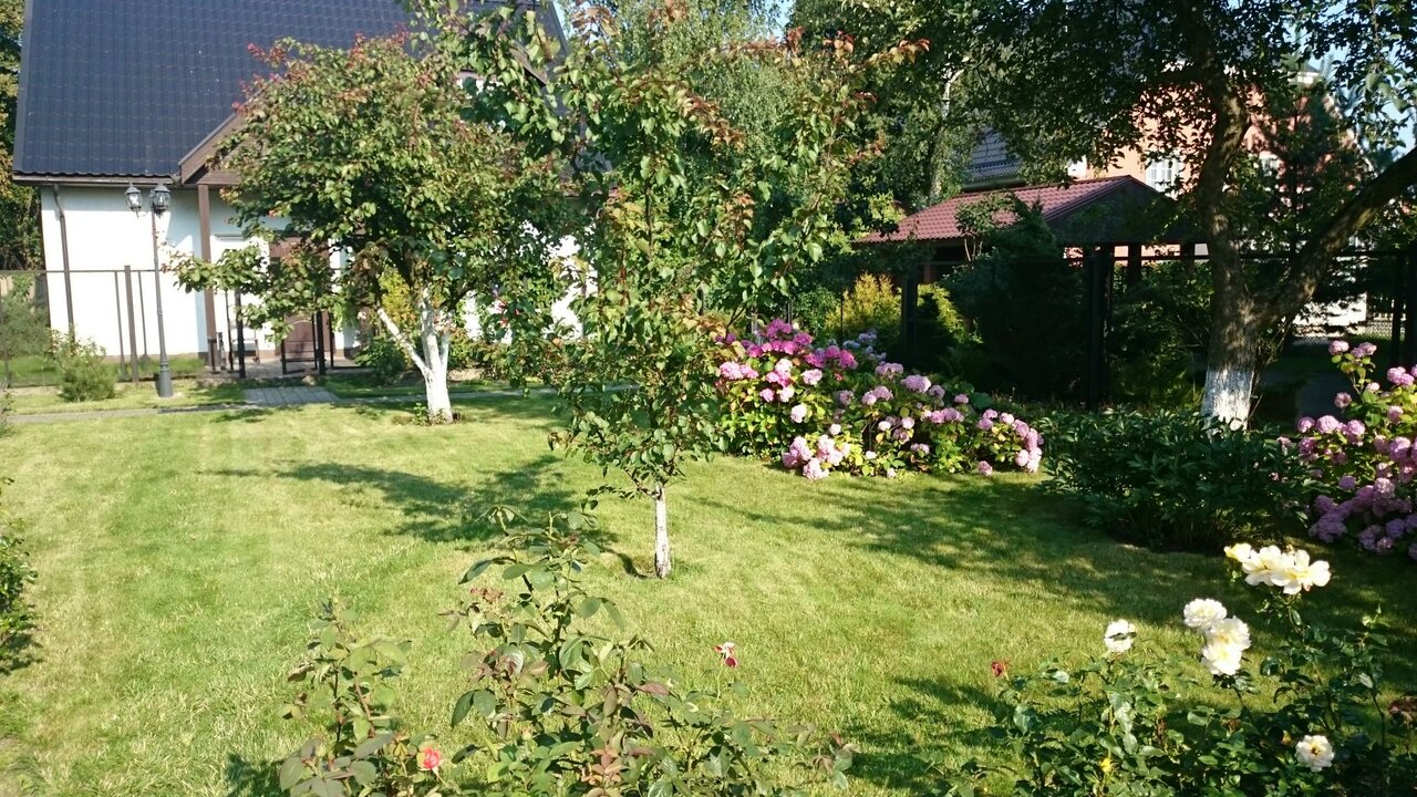 Гостиница На Каштановой Калининград-53