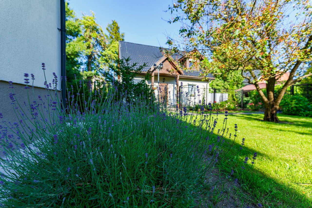 Гостиница На Каштановой Калининград-30