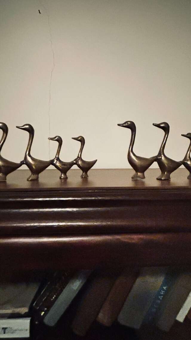 Гостиница На Каштановой Калининград-25