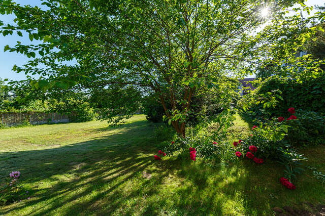 Гостиница На Каштановой Калининград-6