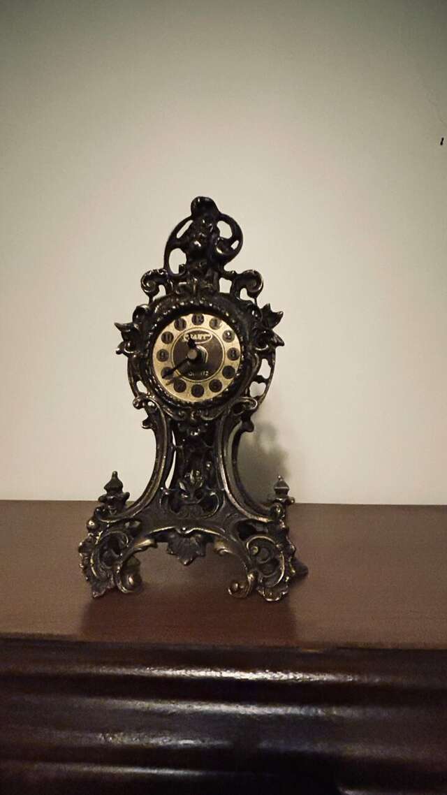 Гостиница На Каштановой Калининград-39